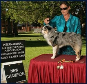 Wyatt's Grandsire-Kids Sire-SPUR-CH