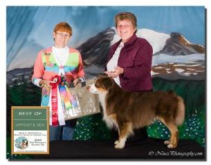 Wyatt_NationalGrand Sire- Bess's Sire